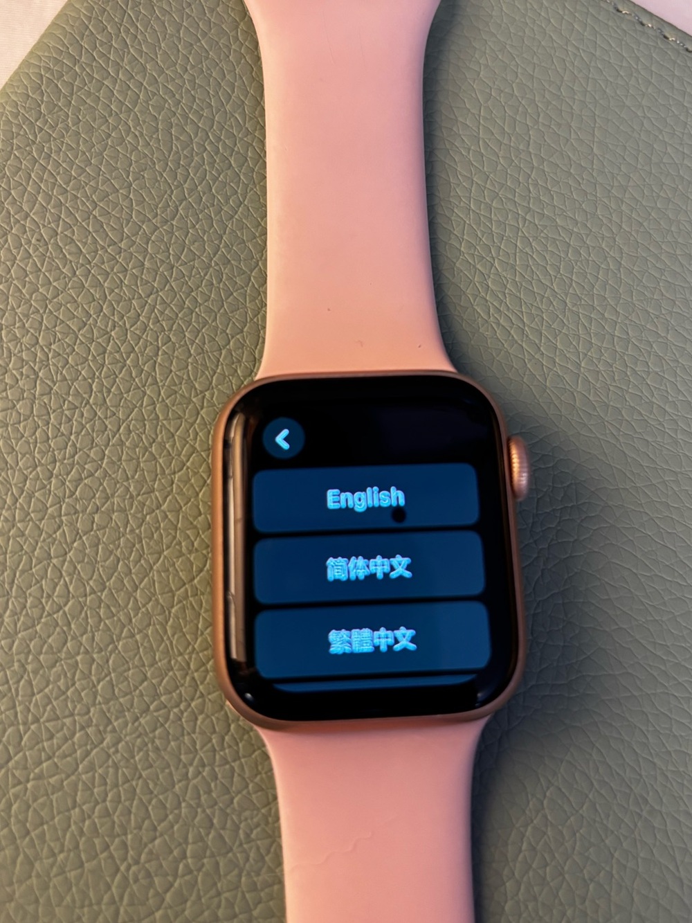 Apple Watch Series 6 40mm Gold Aluminum Pink Sand Band, No Charger